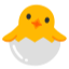🐣